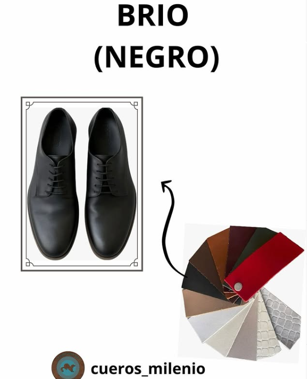BRIO