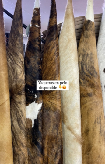VAQUETAS EN PELO